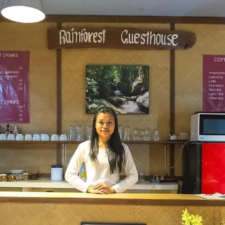Rainforest Guest House