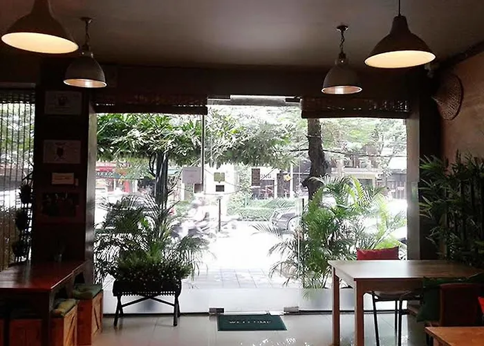 Rainforest 招待所 2*